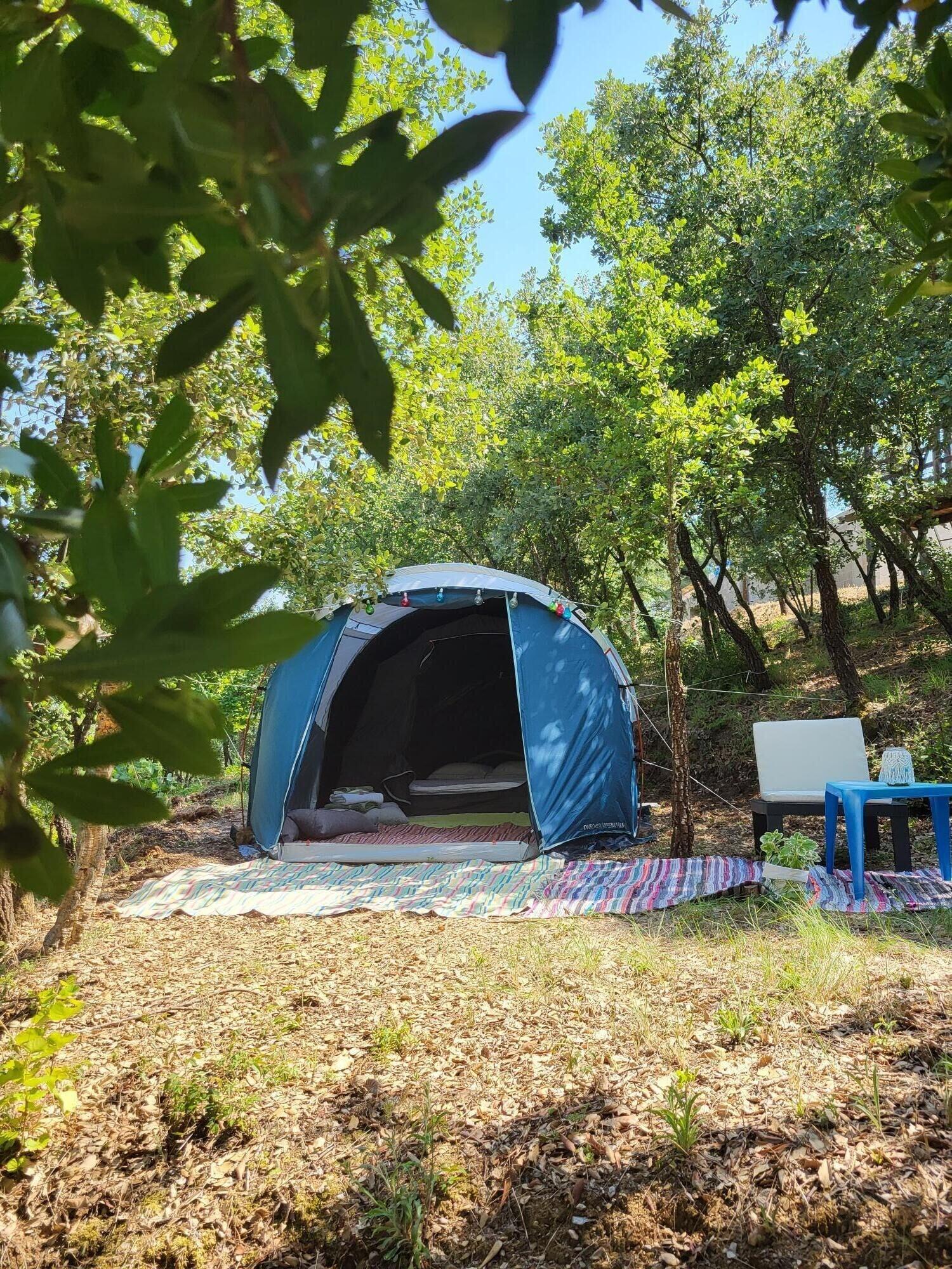 Equipamiento de Habitación Quinta da Choupana