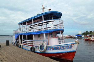 Actividad - Excursión de 4 días en barco por el río Amazonas desde Manaos.