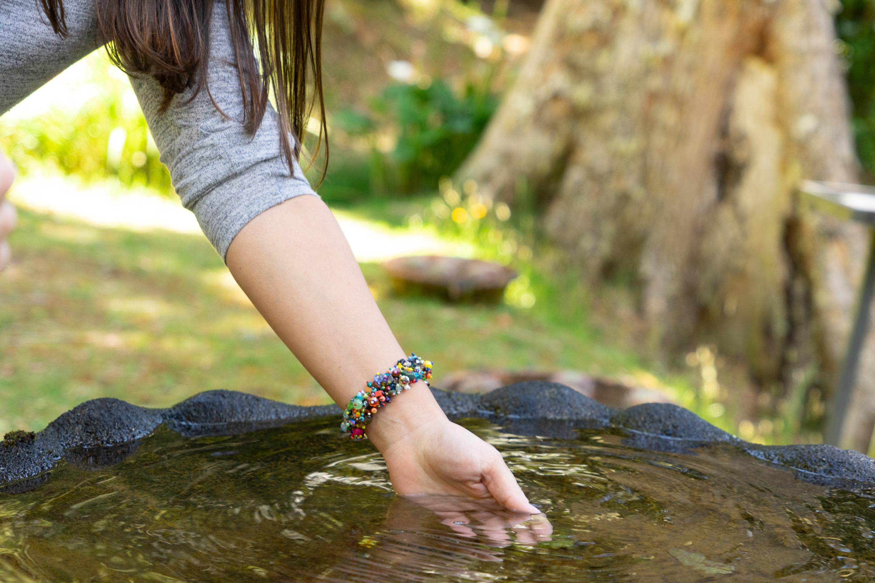 Instalaciones Recreativas Dantica Cloud Forest Lodge