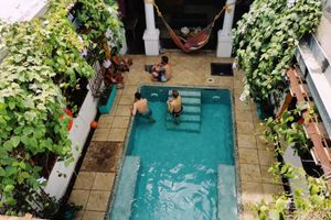 Alojamiento - Baboon Hostel