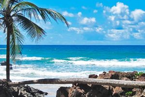 Passagem - Voos para Ilhéus