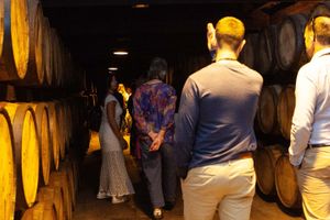 Actividad - Tour del whisky Jameson en la destilería Midleton