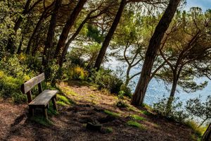 Alojamiento - Albamar Apartaments