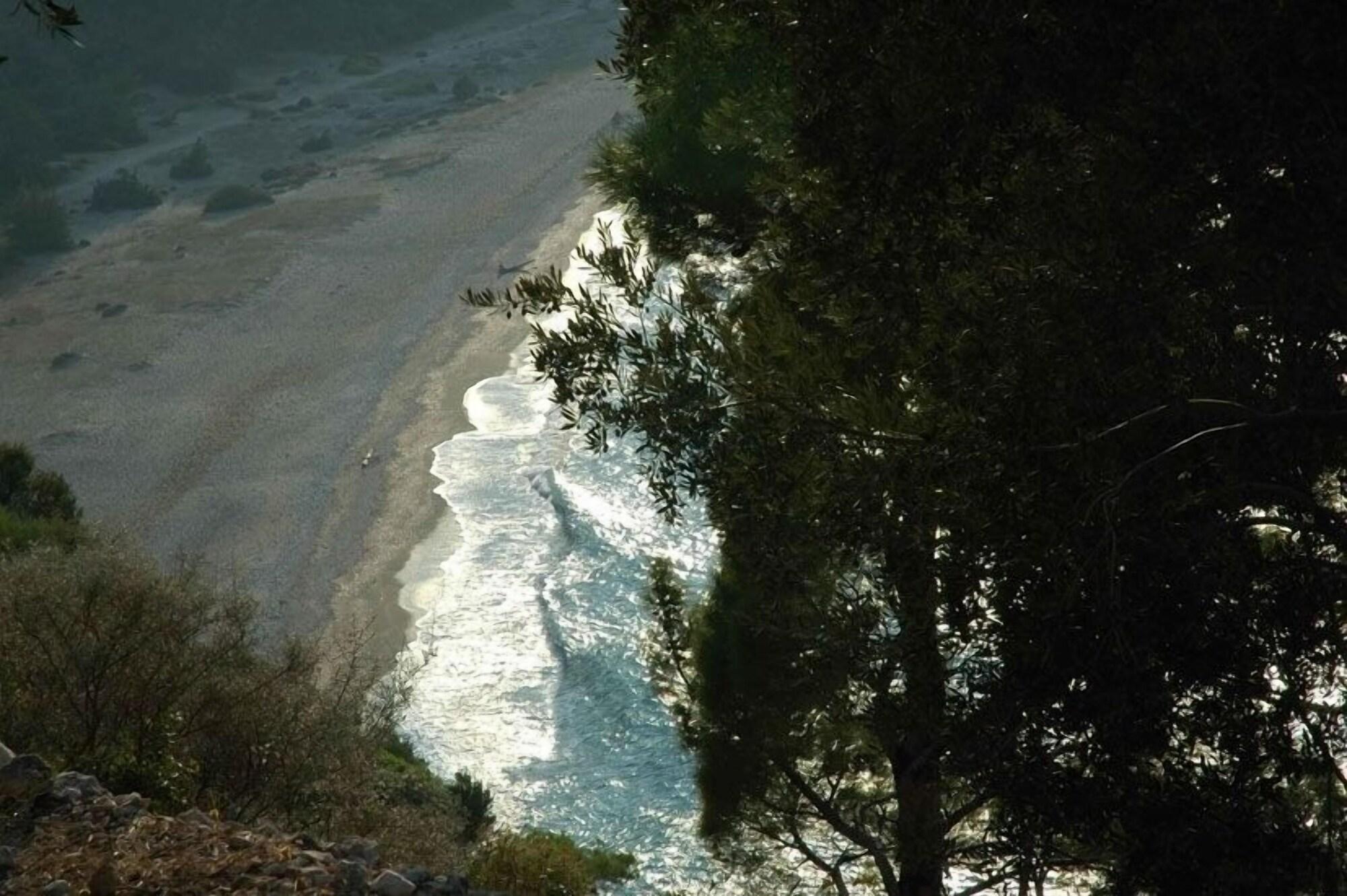 Playa Daphne Hotel