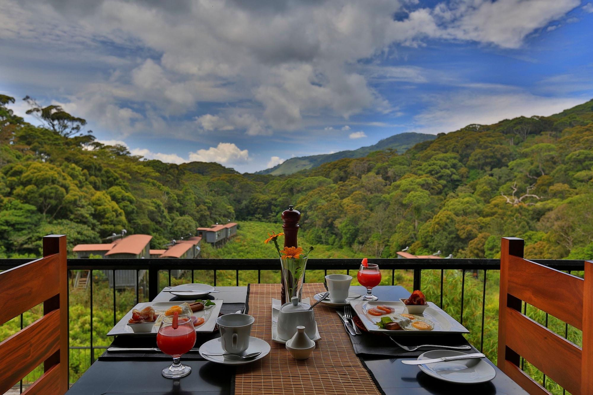 Restaurant The Rainforest Ecolodge