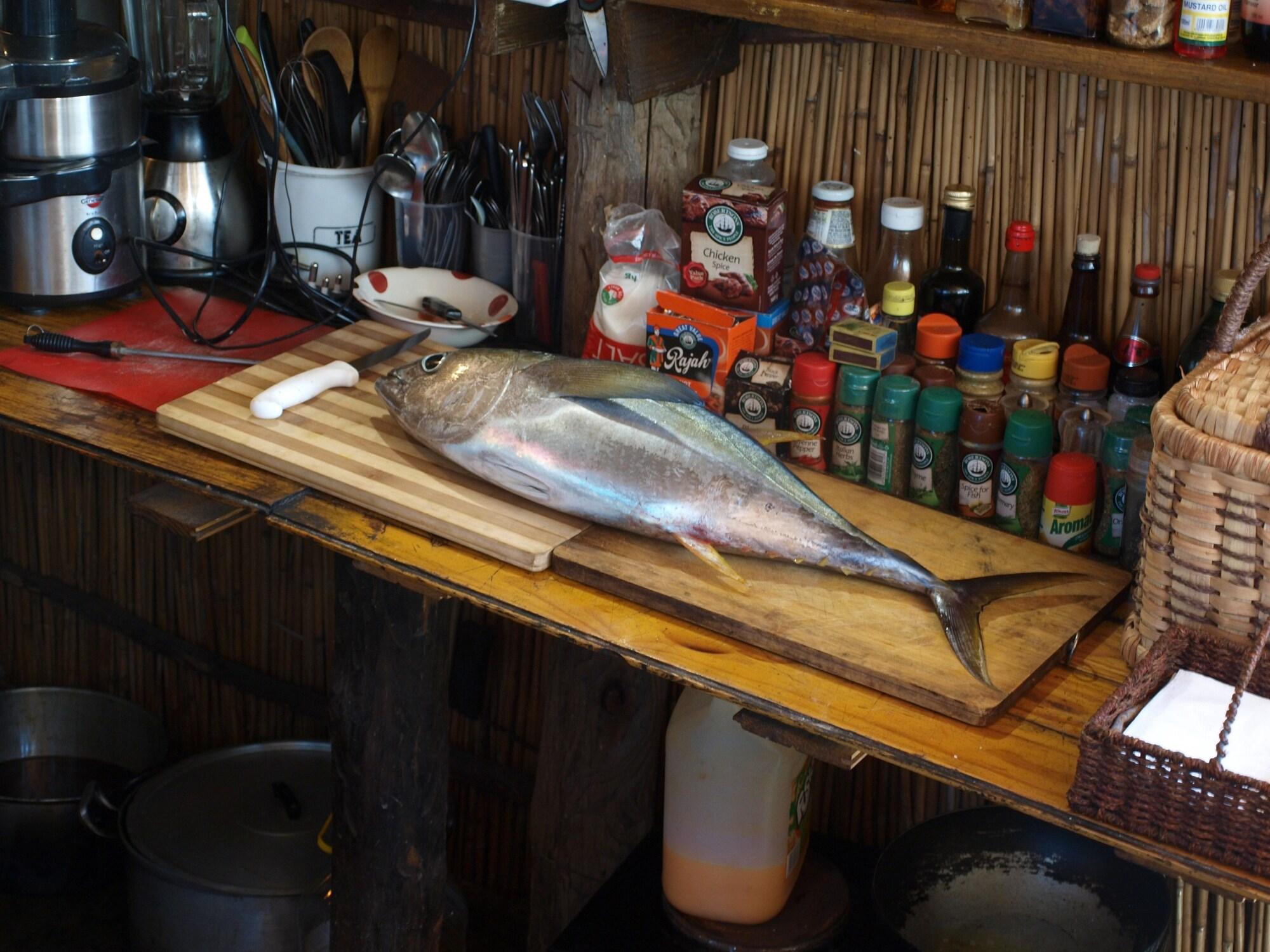 Restaurant Gamboozini Lodge