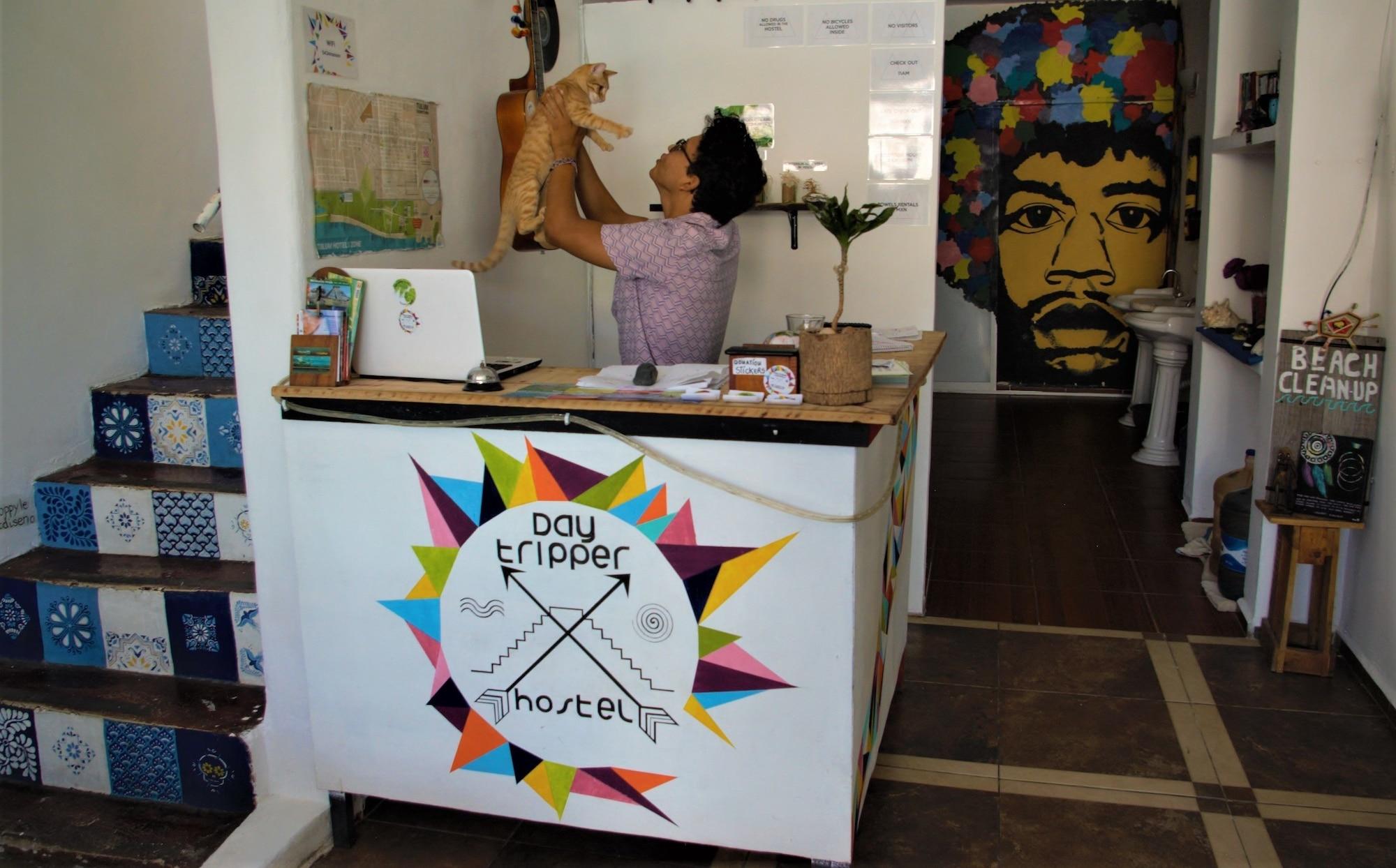 Vista Lobby Daytripper Hostel