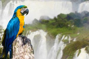 Actividad - Combo Excursiones maravillosas
