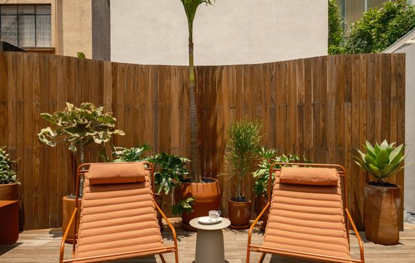 Cholula Condesa Hotel by Lumina - Hoteles en Ciudad de México, CDMX