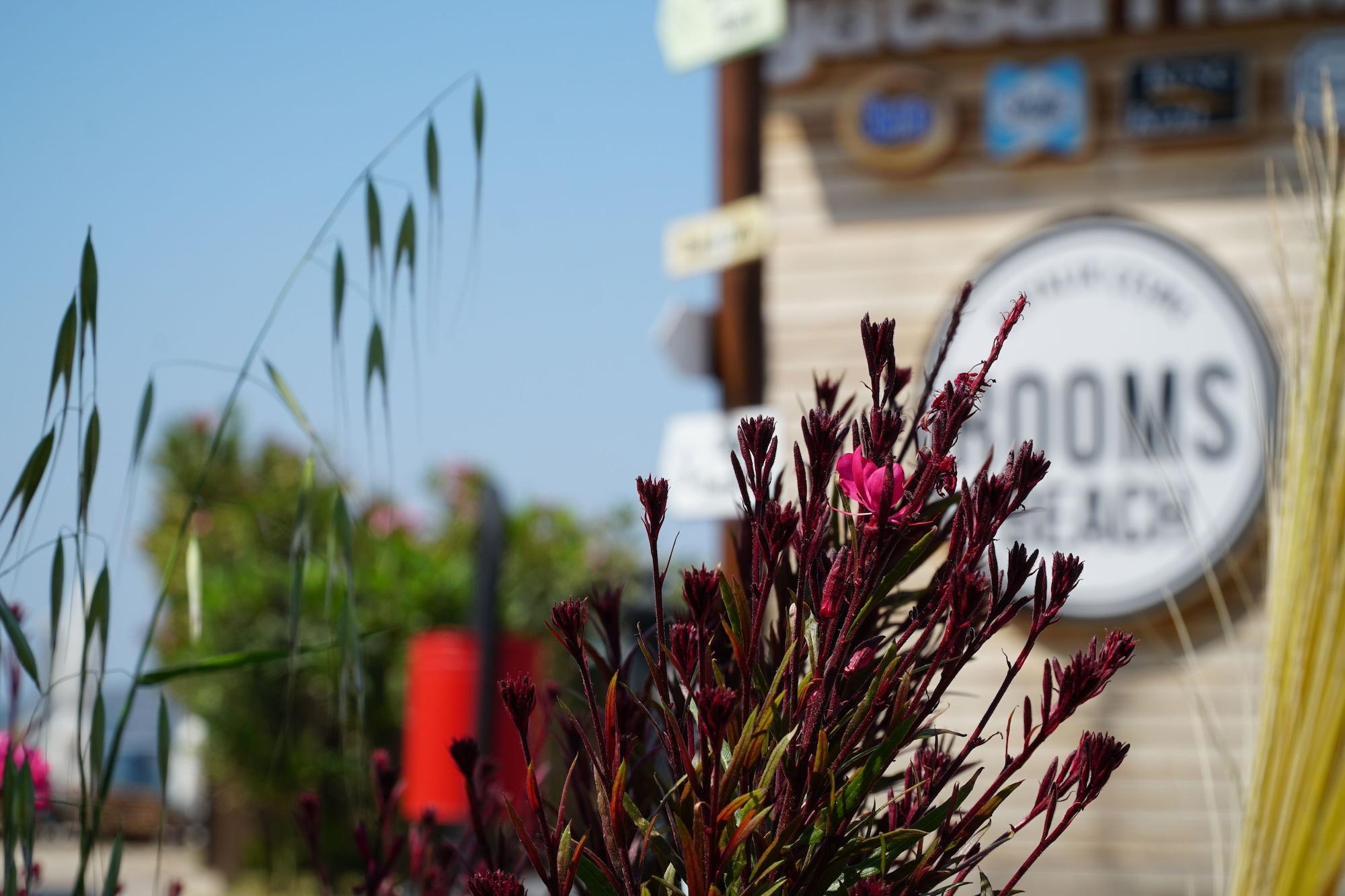 Playa Rooms Smart Luxury Hotel & Beach