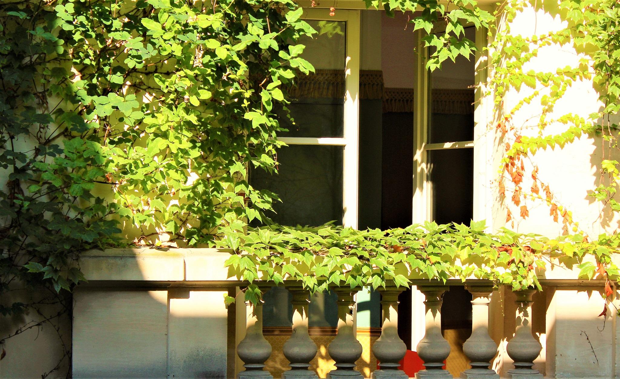 Vista Exterior Le Relais Saint Sulpice