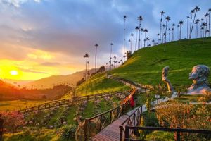 Actividad - Ruta cafetera. valle del cocora,salento y filandia