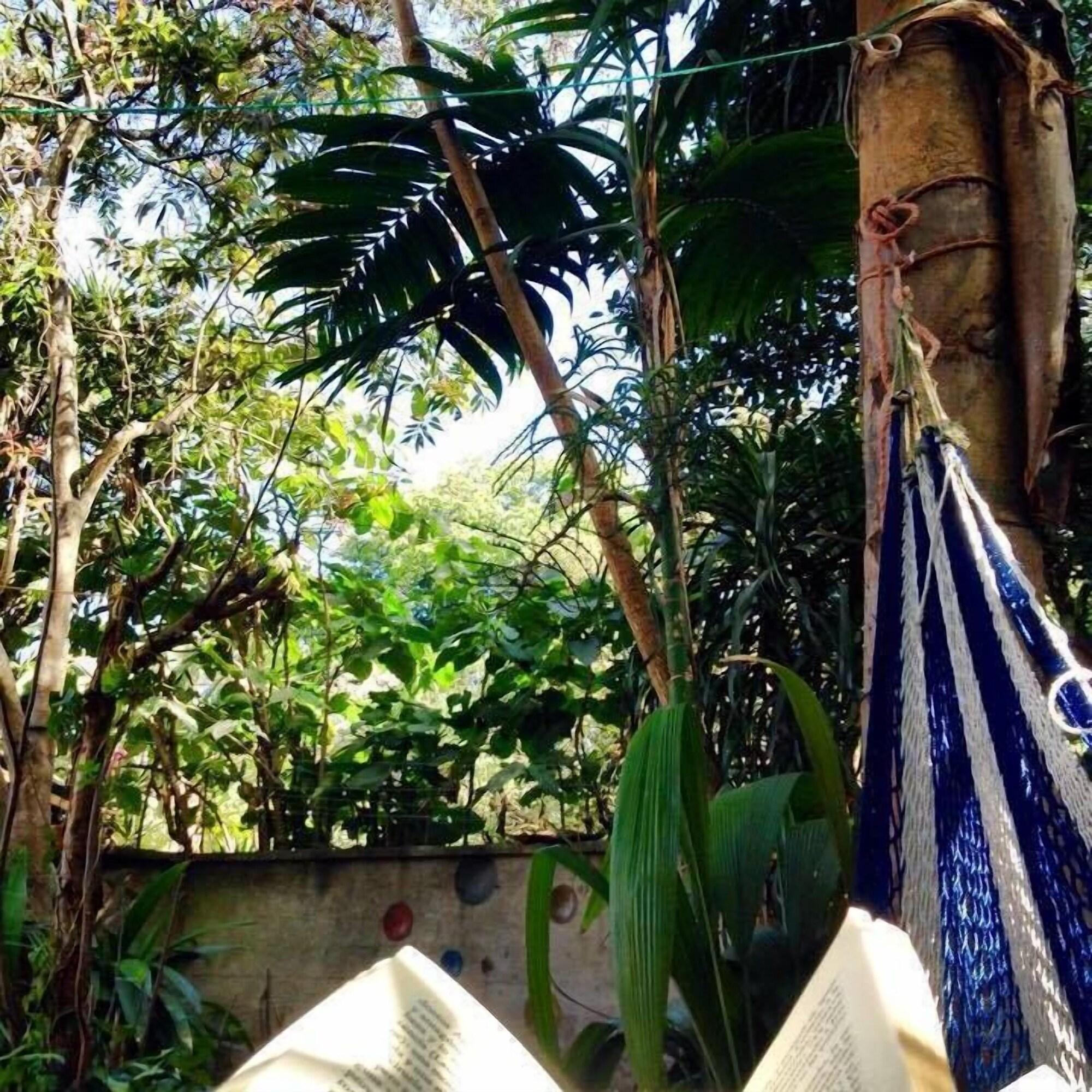 Varios chipilapasantigualodge