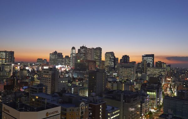 Sotetsu Fresa Inn Higashi Shinjuku