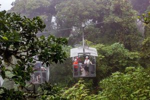 Actividad - Sky Walk, Sky Tram y tirolina Sky Trek desde Monteverde