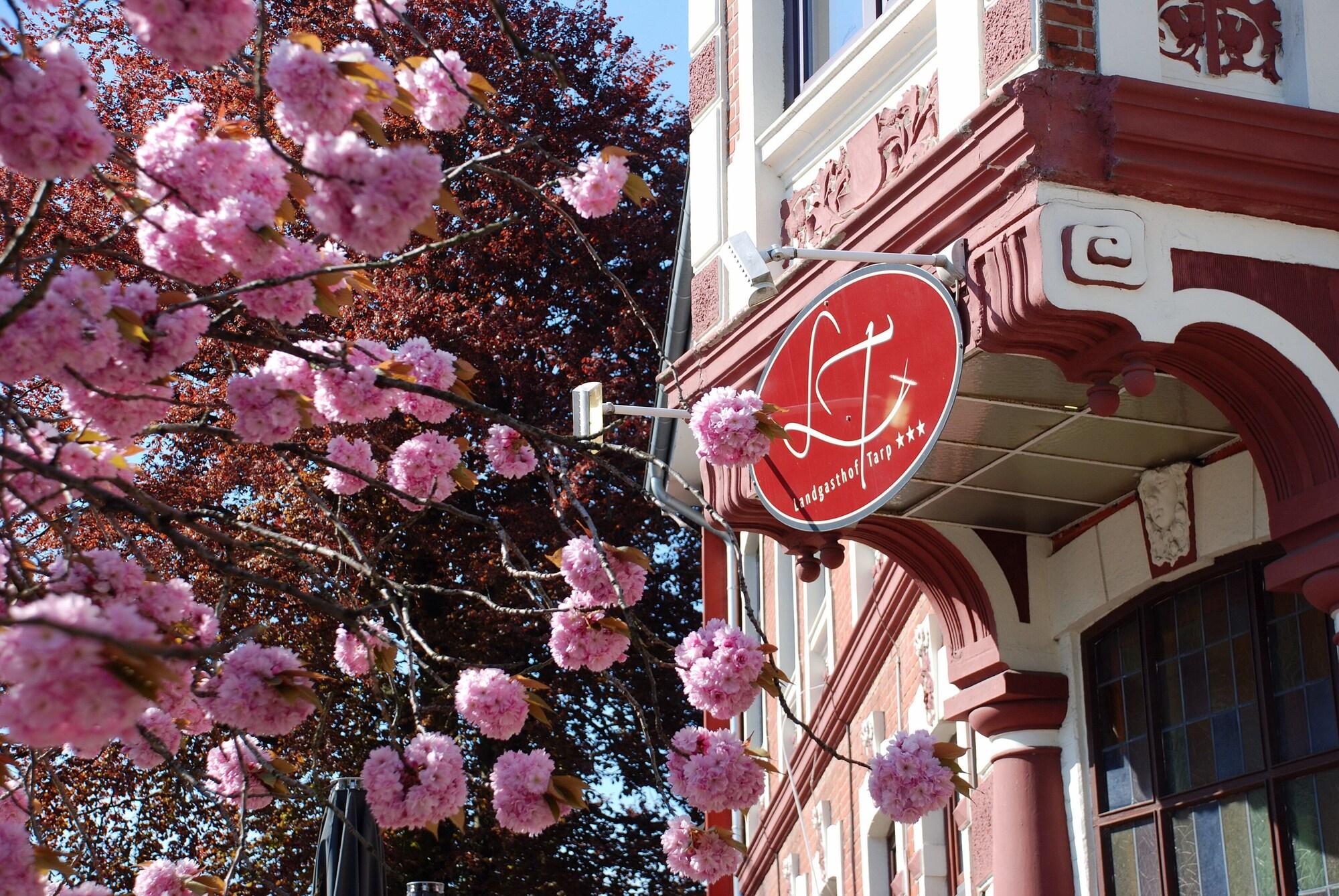 Vista Exterior Landgasthof Tarp