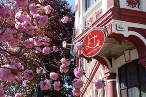 Alojamiento - Landgasthof Tarp