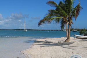 Actividad - Pasa la Noche en Key West desde Fort Lauderdale