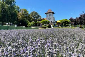 Actividad - Explore Chateau Purcari Winery with Marta and Maria Monastery Visit - Private Full-Day Tour