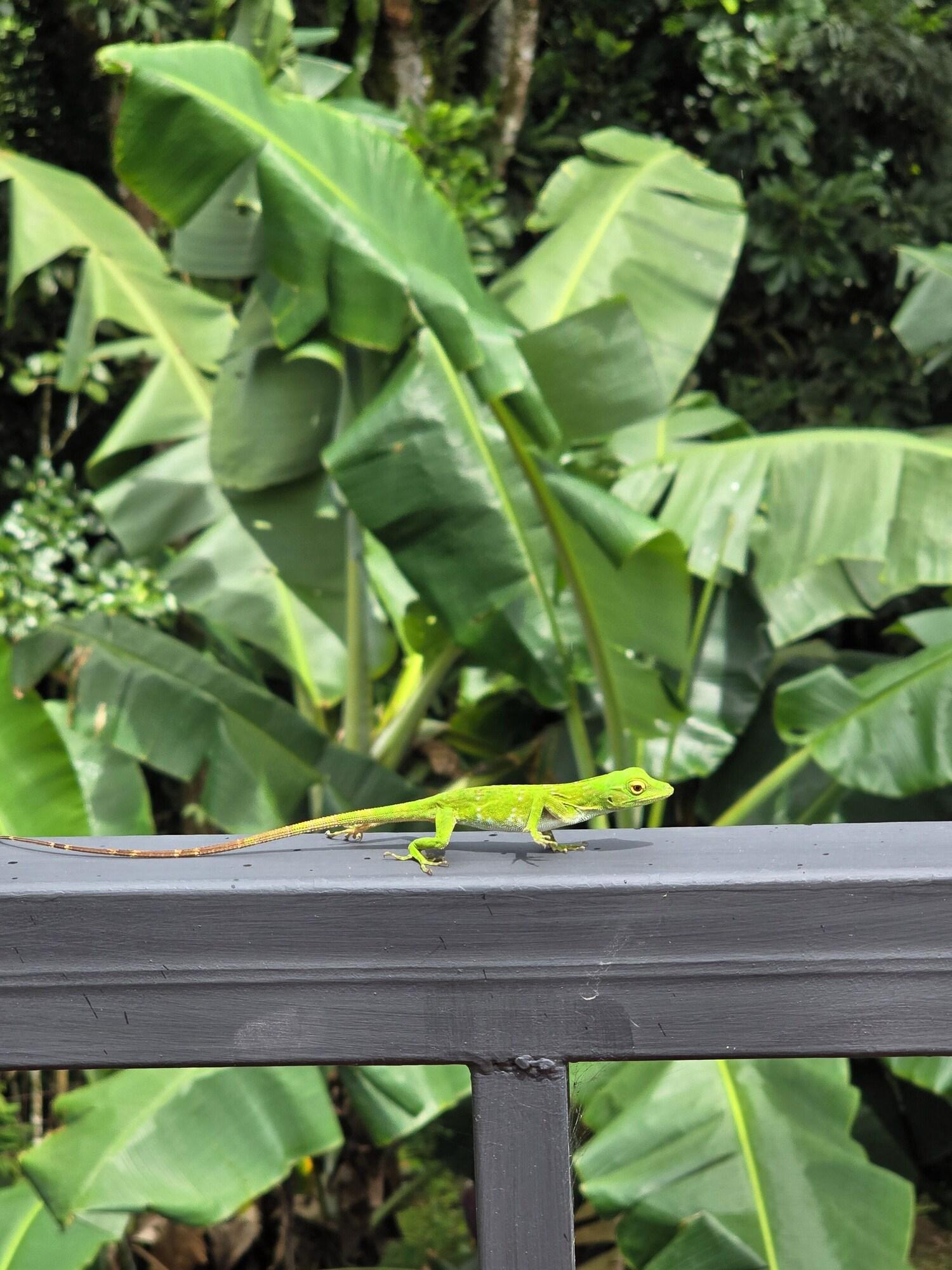 Vista Exterior Happy Paradise Lodge