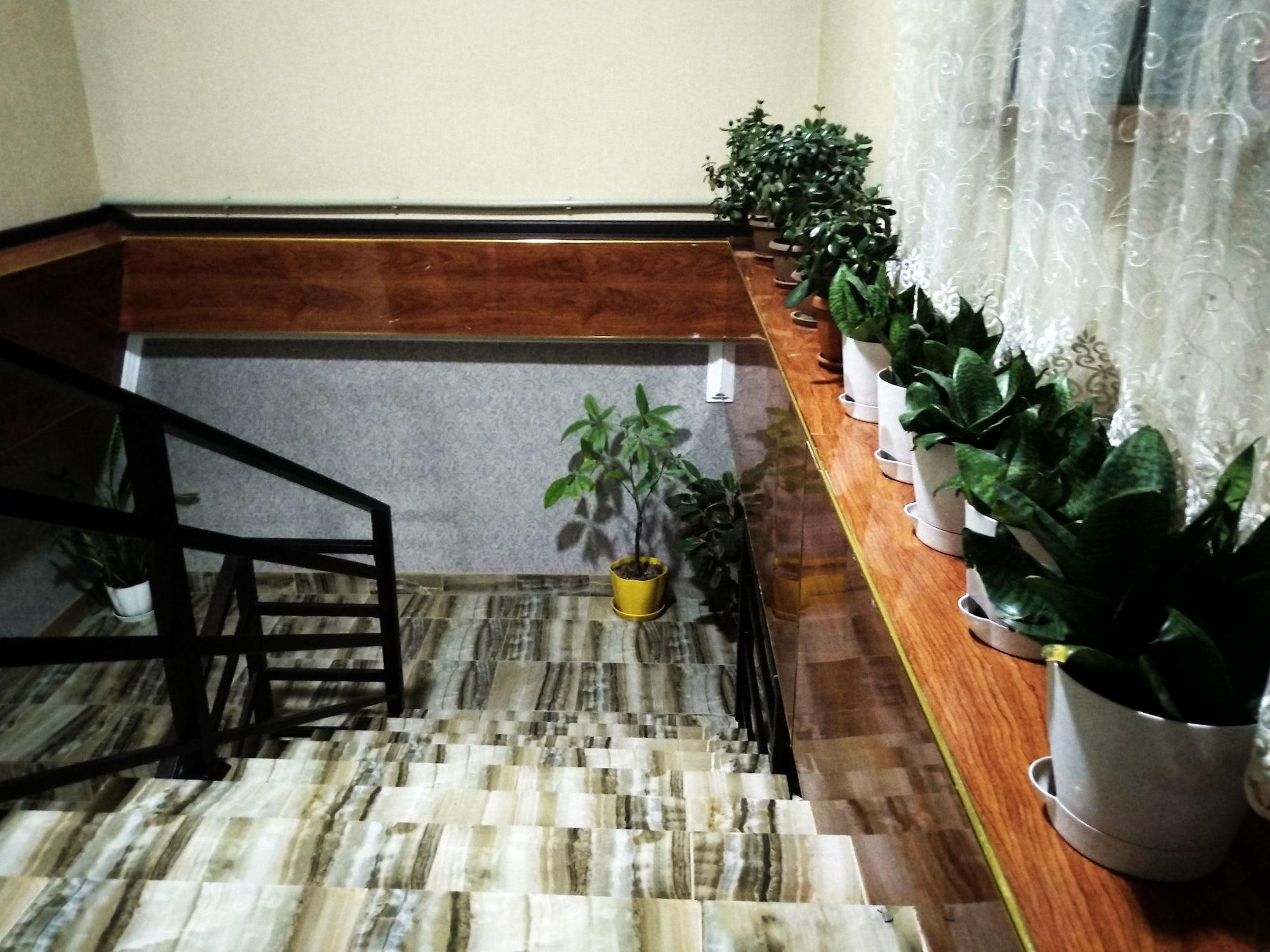 Vista Lobby Medi Hostel