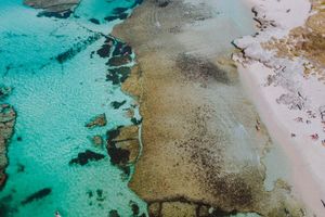 Actividad - Hidroavión a la isla de Rottnest