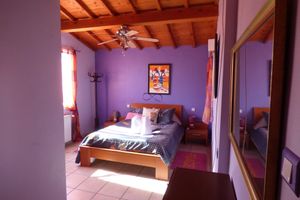Villas - Pleasant villa in garrigue with pine forest and swimming pool