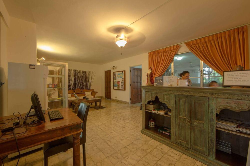 Vista Lobby Hostal Entre 2 Aguas