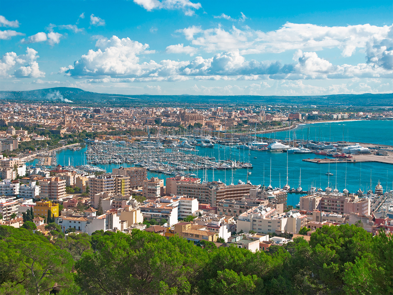 Que hacer en palma de mallorca