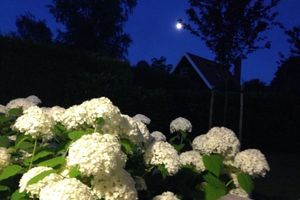 Alquiler Vacacional - Atmospheric, rural and child-friendly 6 pers. detached house