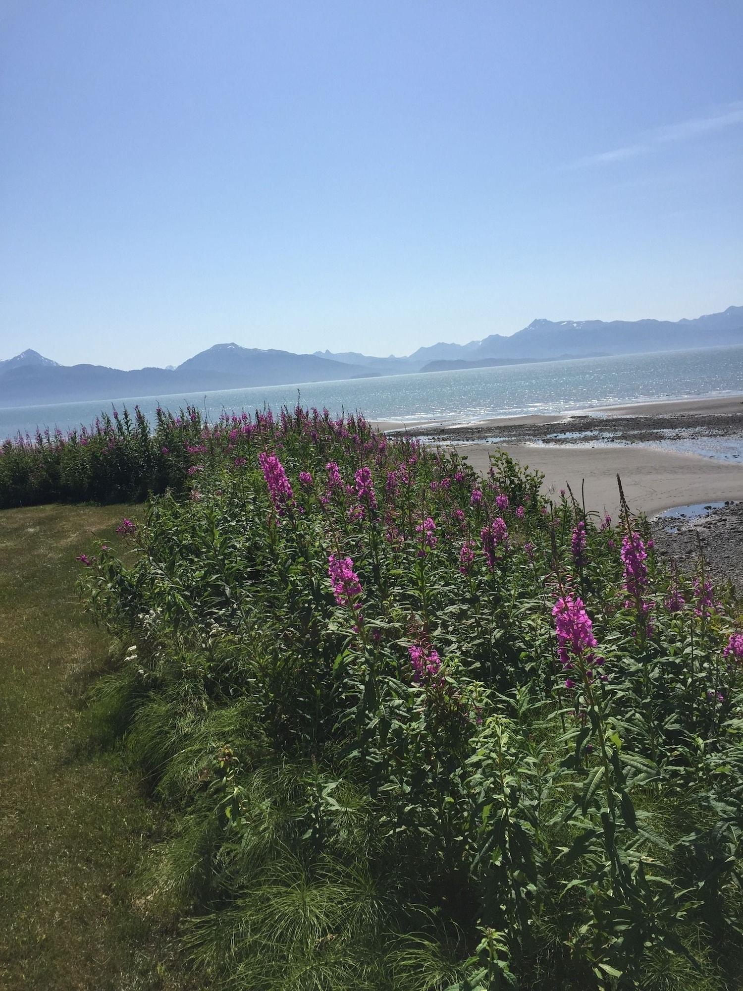 Playa White House Inn on the Waterfront