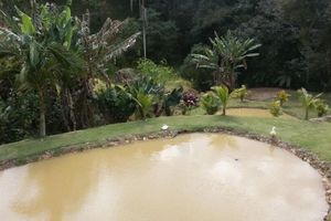 Alojamiento - Pousada Vale da Serra