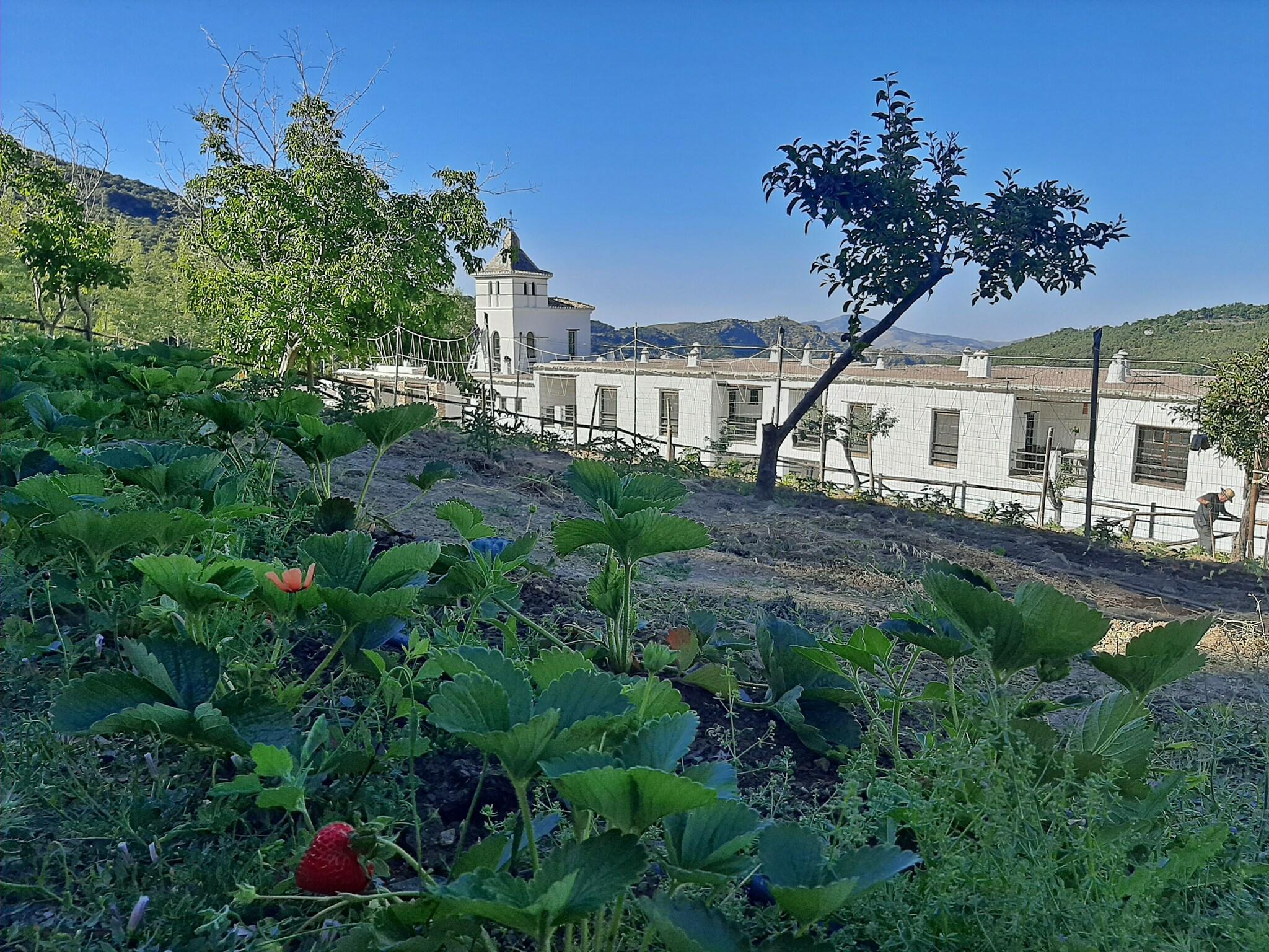 Varios Alcazaba de Busquistar