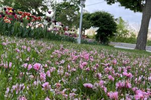 Alojamiento - Bedham Hall Bed & Breakfast