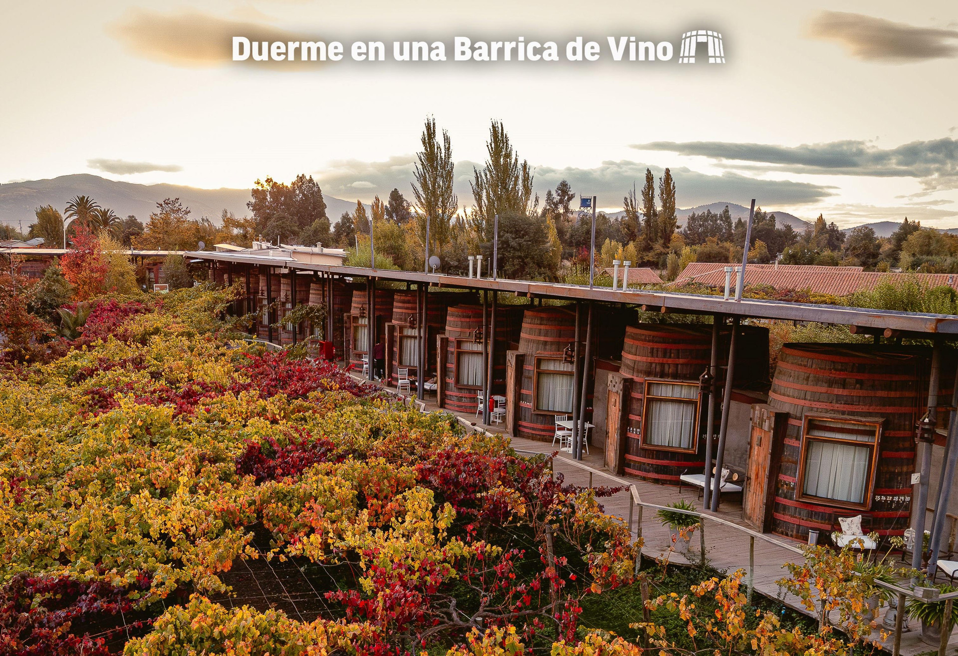 Vista Exterior Hotel Cava Colchagua