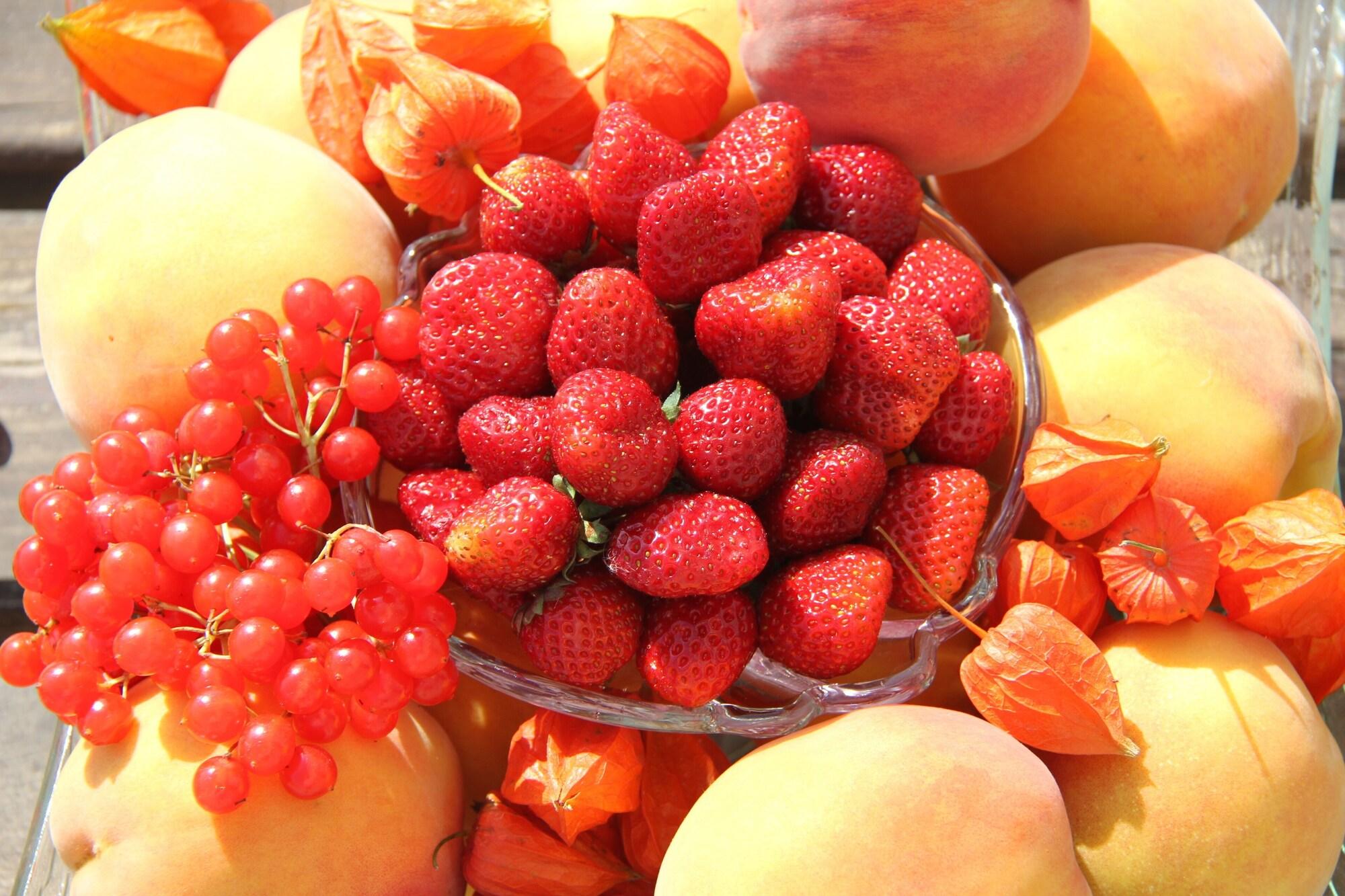 Restaurant Garden Hotel