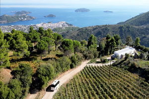 Actividad - Evening of Wine and Scenic Views in Skiathos - Small Group Tour