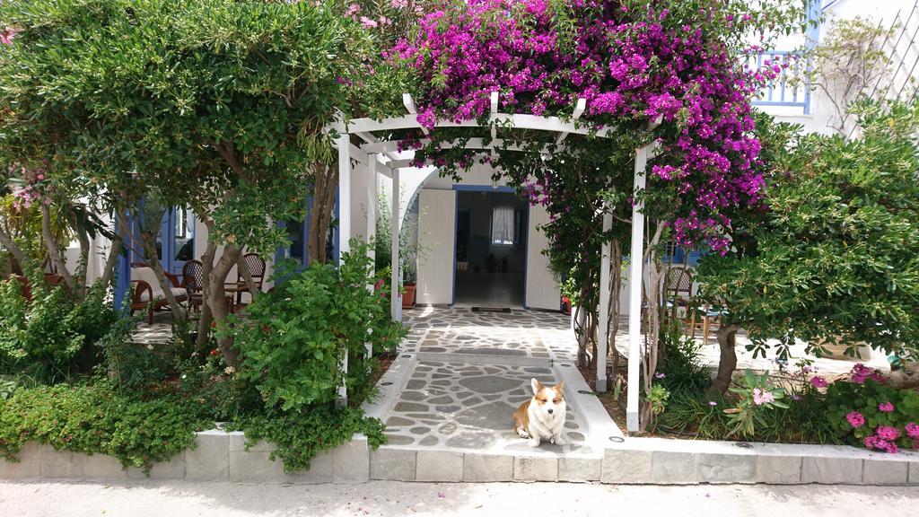 Vista Exterior Panorama