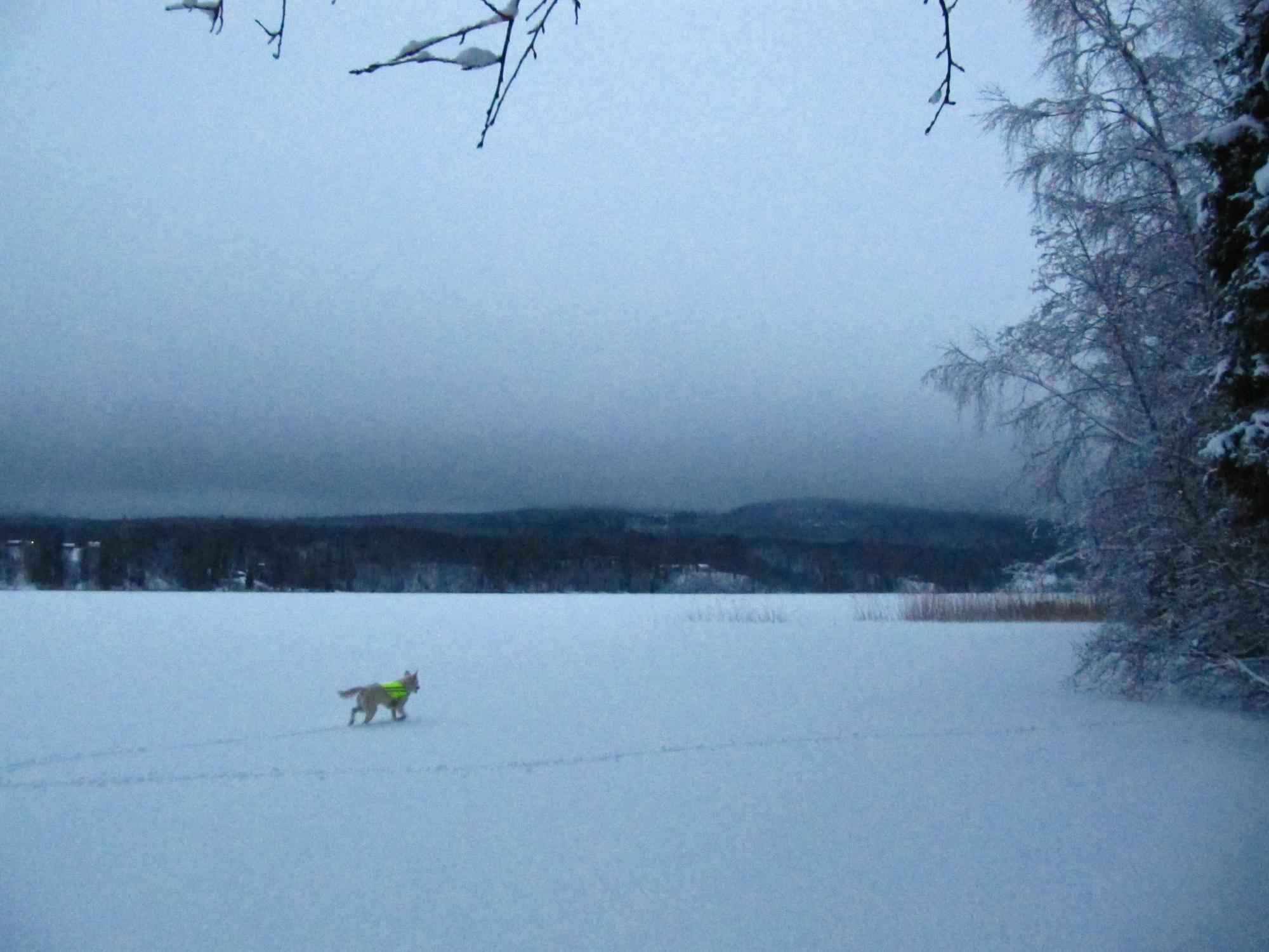 Varios Två Ekar Gård