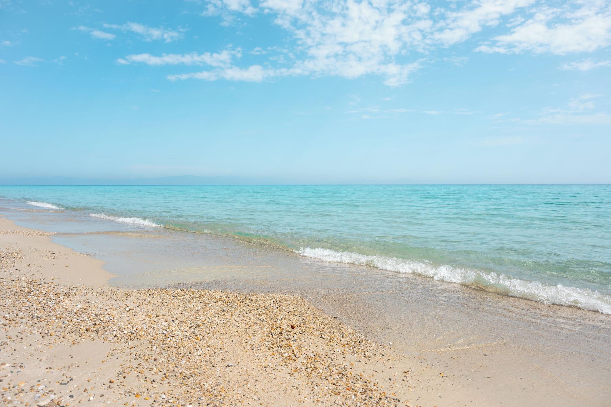 Playa Canvas by Mitsis Alexander the Great