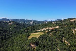Alojamiento - Agriturismo Pizzicalaluna