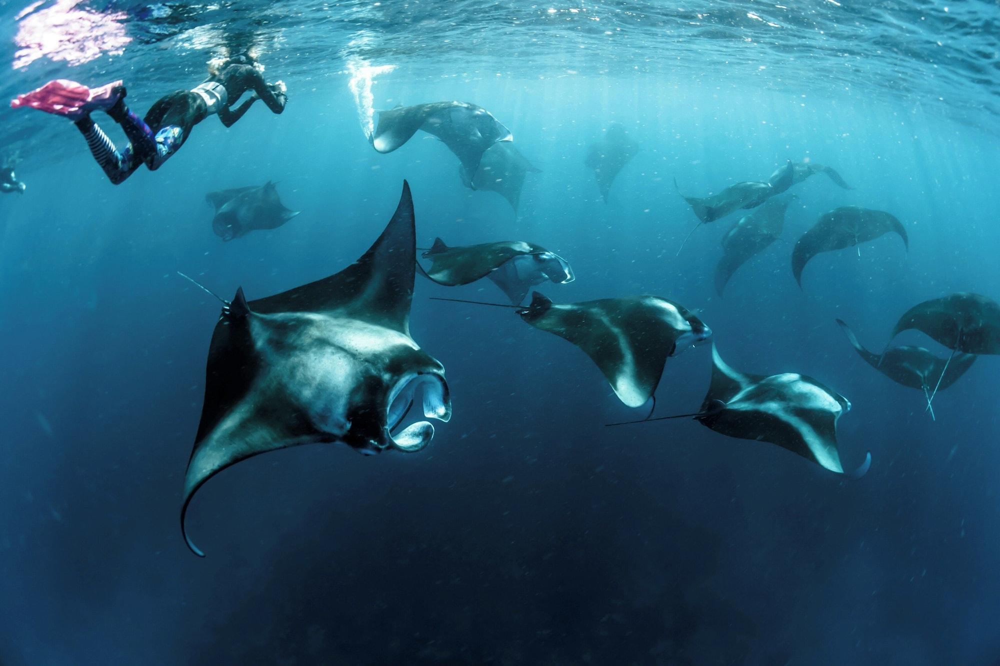 Instalaciones Recreativas Korovou Eco Lodge