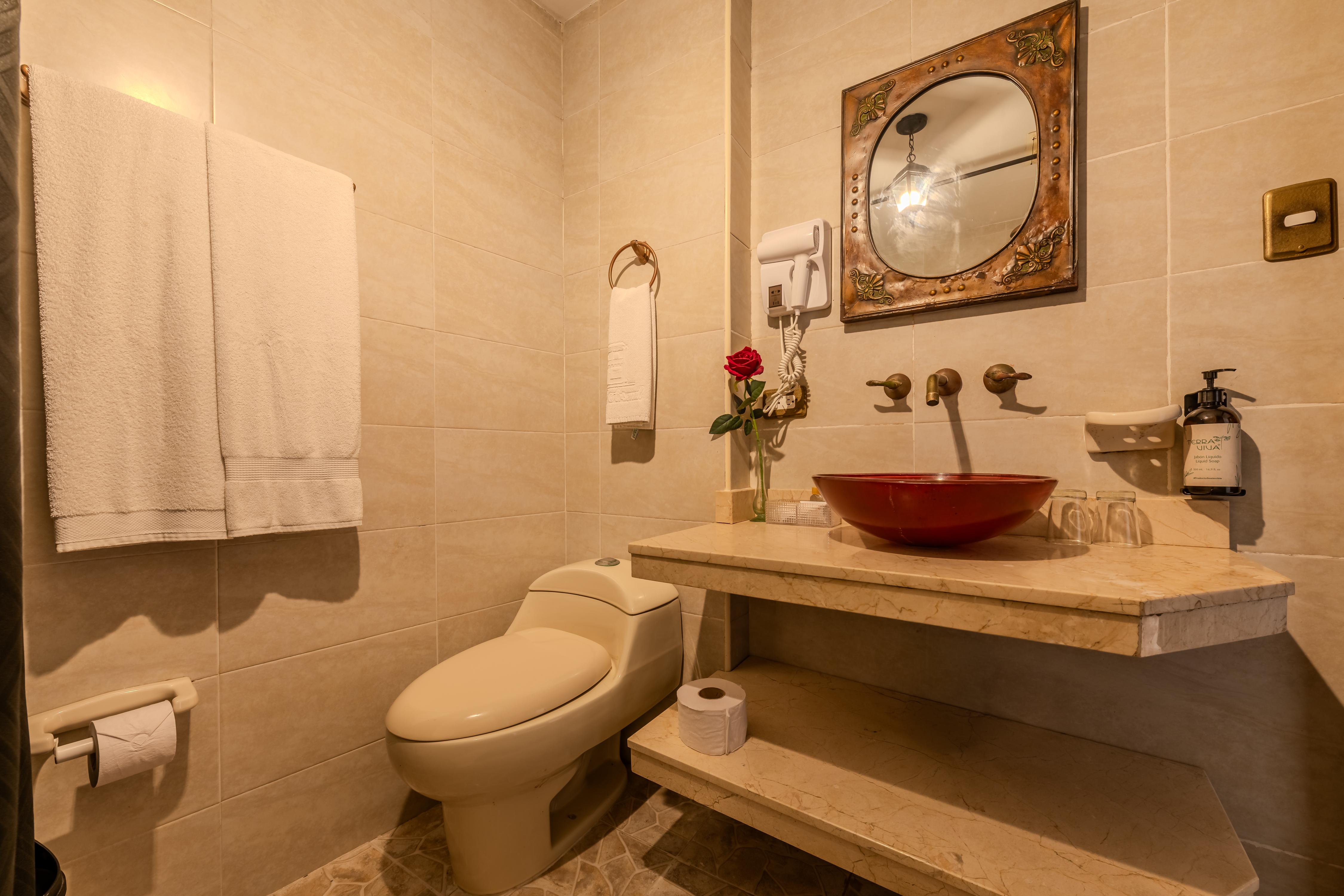 Equipamiento de Habitación Hotel Dorado Plaza Boutique Calle del Arsenal