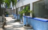Hotel Delfines Acapulco by NG Hoteles