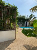 Alojamiento - Cactus Lodge Zanzibar