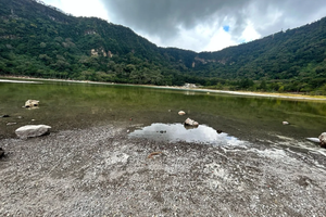 Actividad - Tour Laguna de Alegría y Berlín: Naturaleza, Café y Cultura