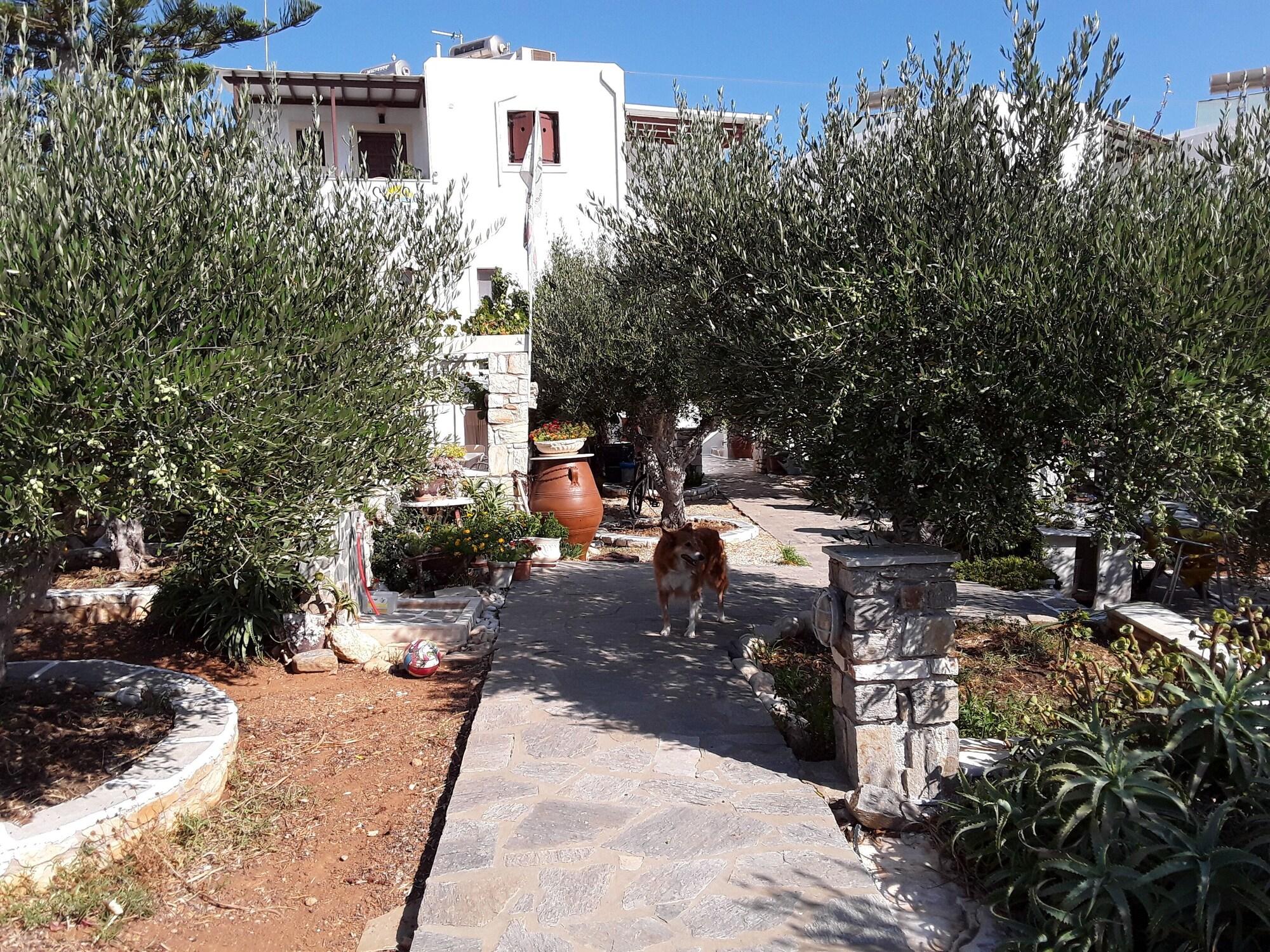 Vista Lobby Sunset Studios & Apartments - Adults Only