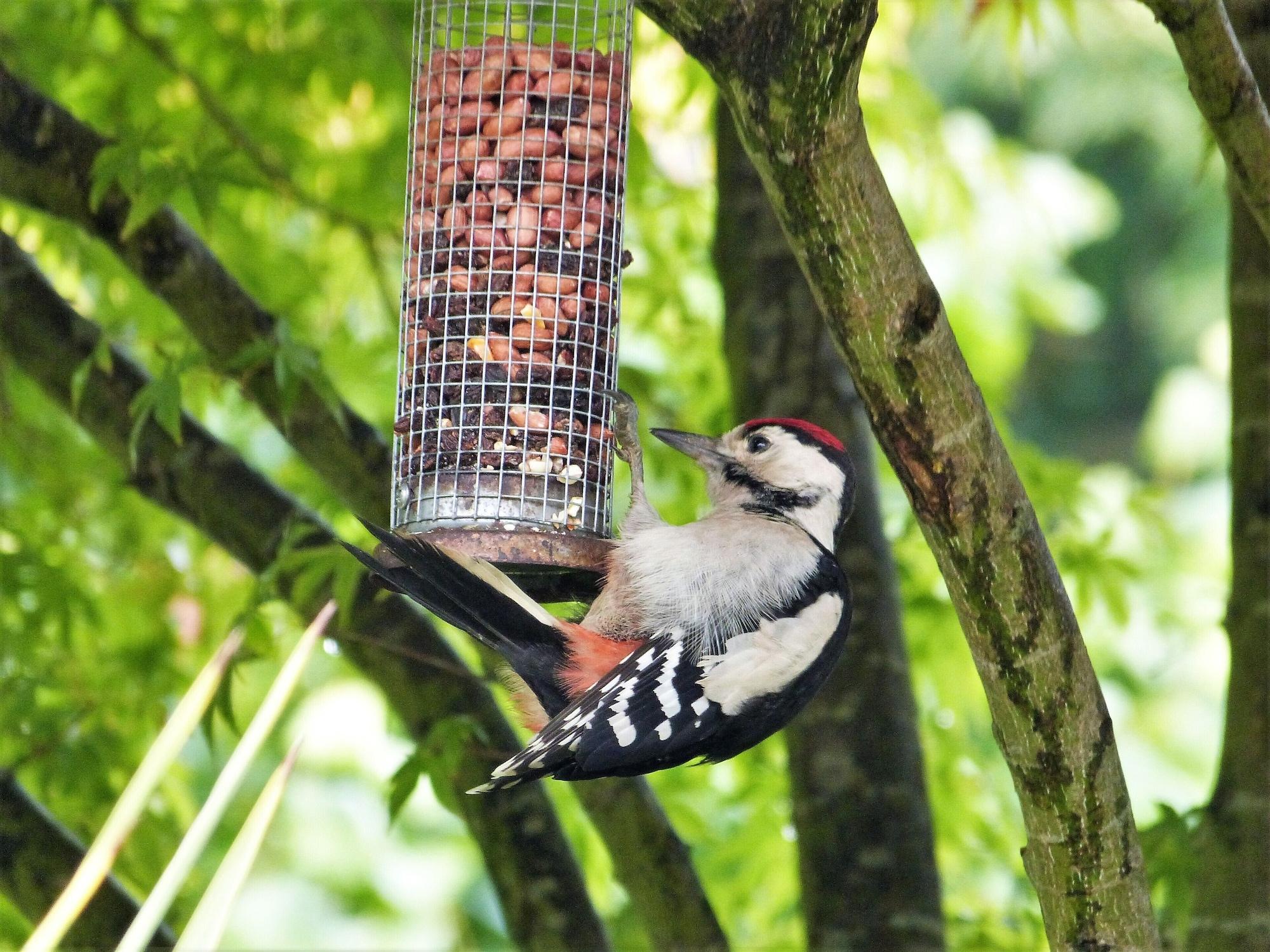 Vista Exterior The Willow