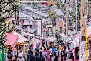 Actividad - Tranquilidad en Kioto: Arte del Bambú y Templos Zen - Excursión de día completo