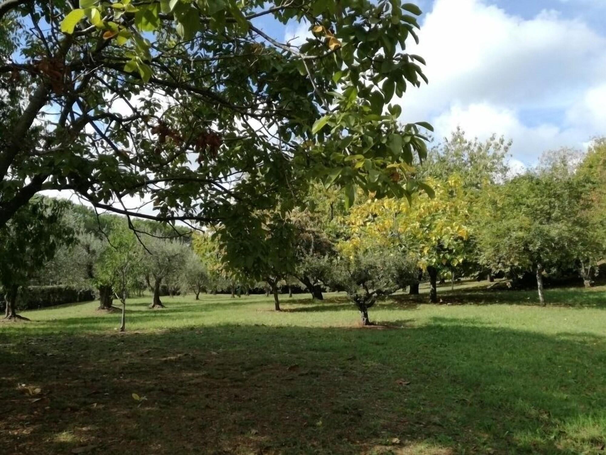 Vista Exterior B&B Vigna dell'Agrifoglio